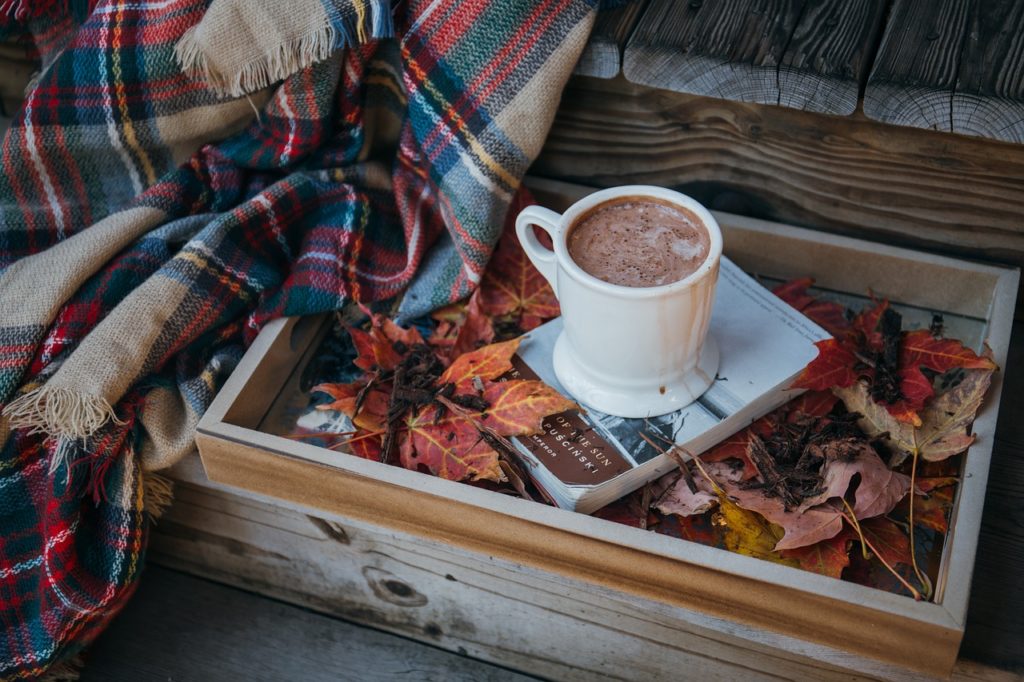 Hot Chocolate by John Thorne